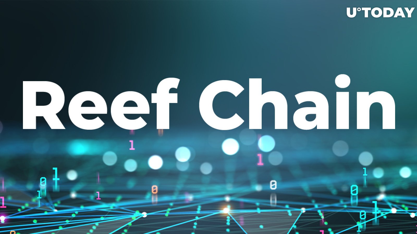 Reef Finance Finally Shares Mainnet Dates for Reef Chain, Teases Massive Opportunities for DeFi