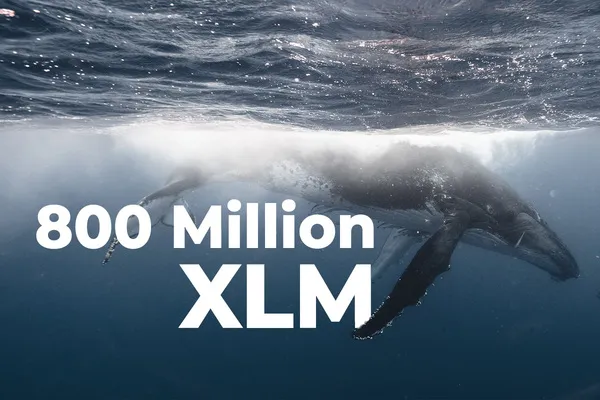 800 Million XLM Transferred by Whales in Past 15 Hours, Here’s Why