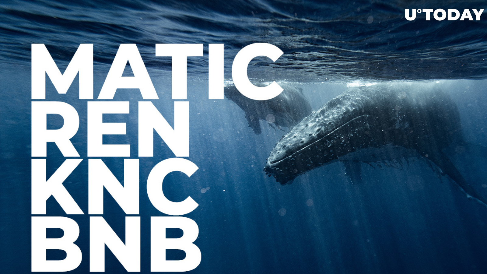 MATIC, REN, KNC, BNB Whales Definitely Bought Latest Dip, Here's Why