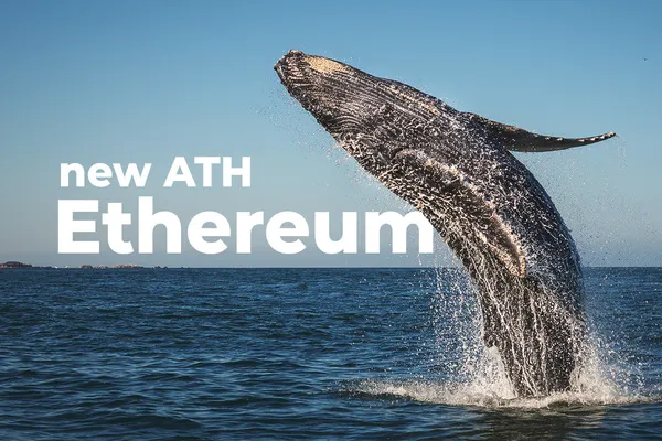 New Ethereum Whale Addresses Hit New All-Time High This Weekend: Santiment