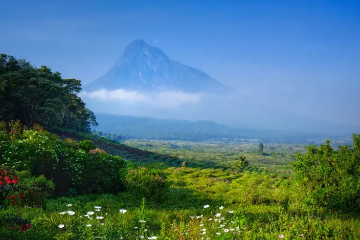 Virunga National Park Now Accepts Bitcoin, Ethereum, Litecoin, Chainlink, and Other Coins as Donations 