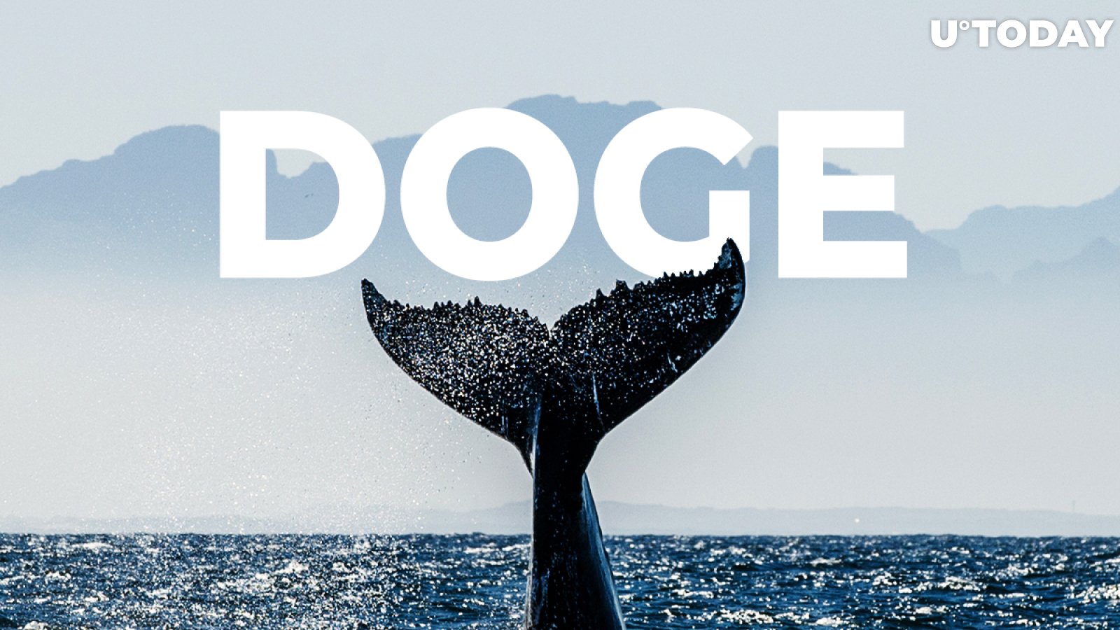 Trader Unveils Sensational Theory About Most Powerful DOGE Whale