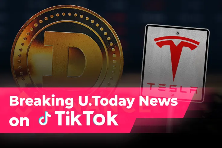 Dogecoin (DOGE) Up, TSLA Down, American Watchdogs Came for Binance: U.Today TikTok Digest