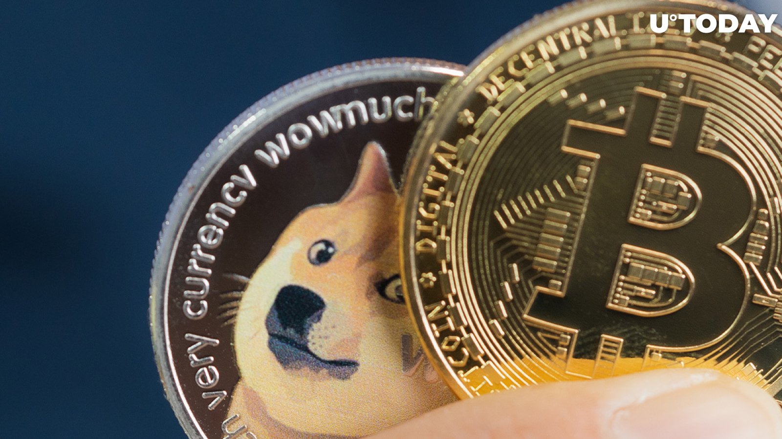 Dogecoin May Indicate Too Much Market Froth Throughout 2021: Bloomberg's Mike McGlone