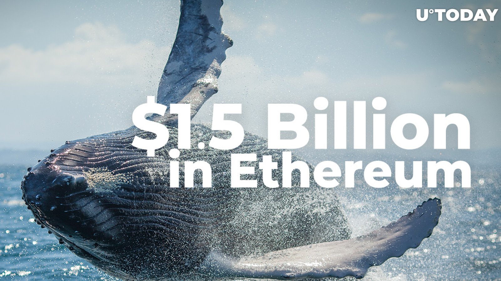  Whales Move $1.5 Billion in Ethereum from Binance in Just 10 Minutes: Details 