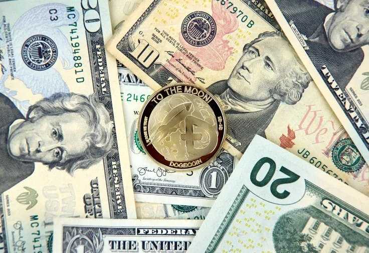 Dogecoin Fortune Makes Goldman's Managing Director Quit His Job