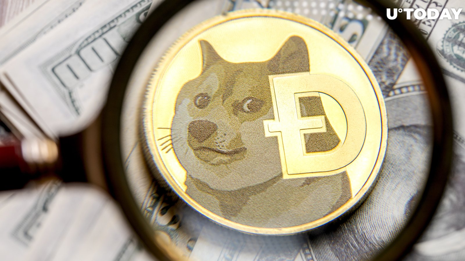 Dogecoin Is Not Worth $37 Billion, Says Crypto King Barry Silbert