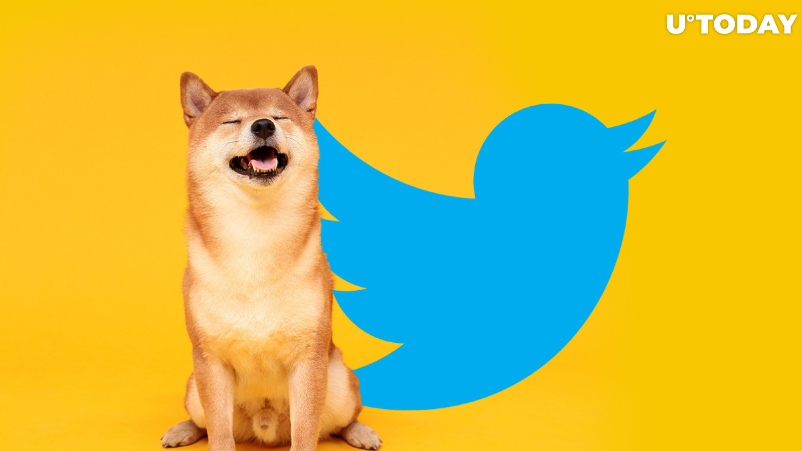 Elon Musk Tweets About DOGE's Shiba Inu Again, Here's What He Shows This Time