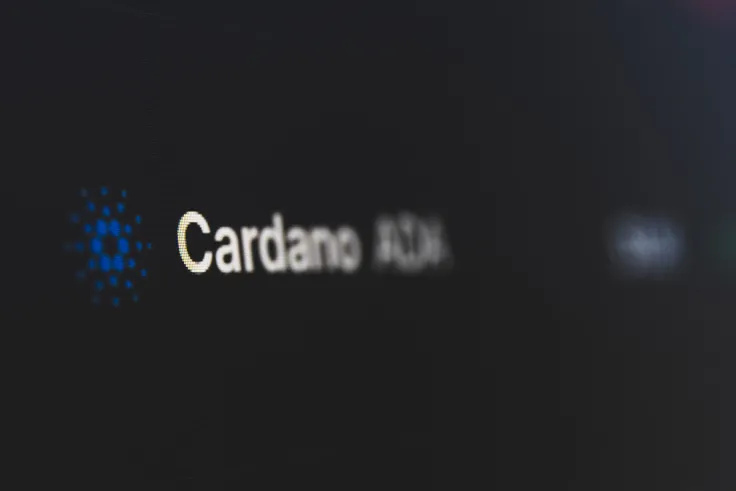 1,000,000 Cardano (ADA) Tokens Delegated by Bitrue Exchange (BTR) to Staking Pool: Details