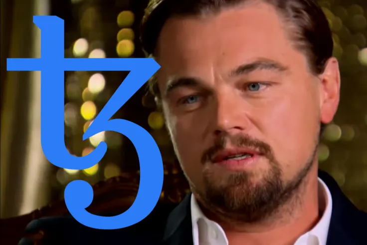 Leonardo DiCaprio’s Earth Alliance to Receive Donation from Tezos-Based NFT Auction