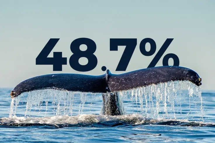 Whales Now Hold 48.7% of Total Bitcoin Supply After Buying 90,000 BTC Recently: Report