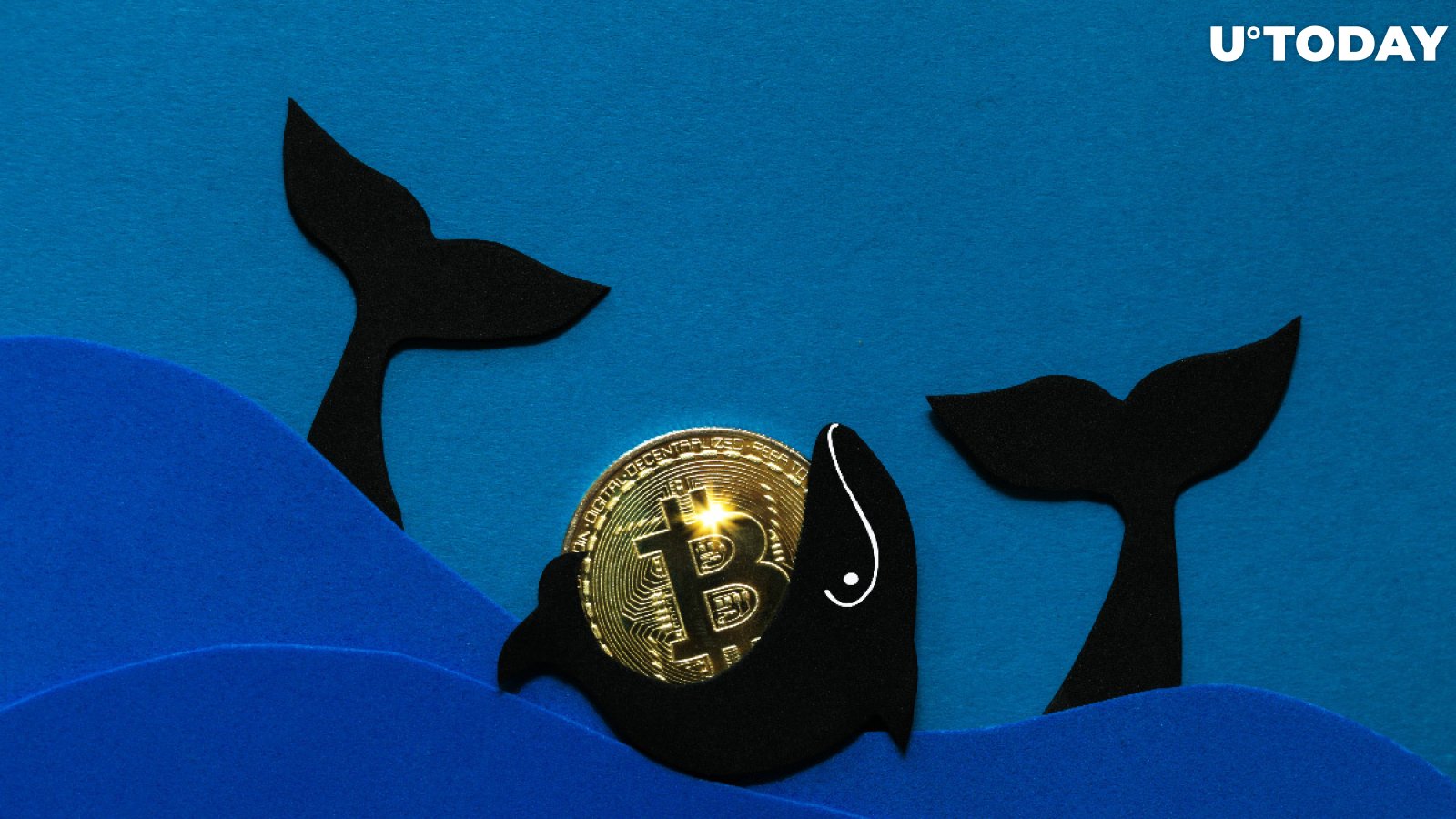 Small and Medium Bitcoin Whales Keep Holding and Accumulating Despite BTC Dropping to $35,500