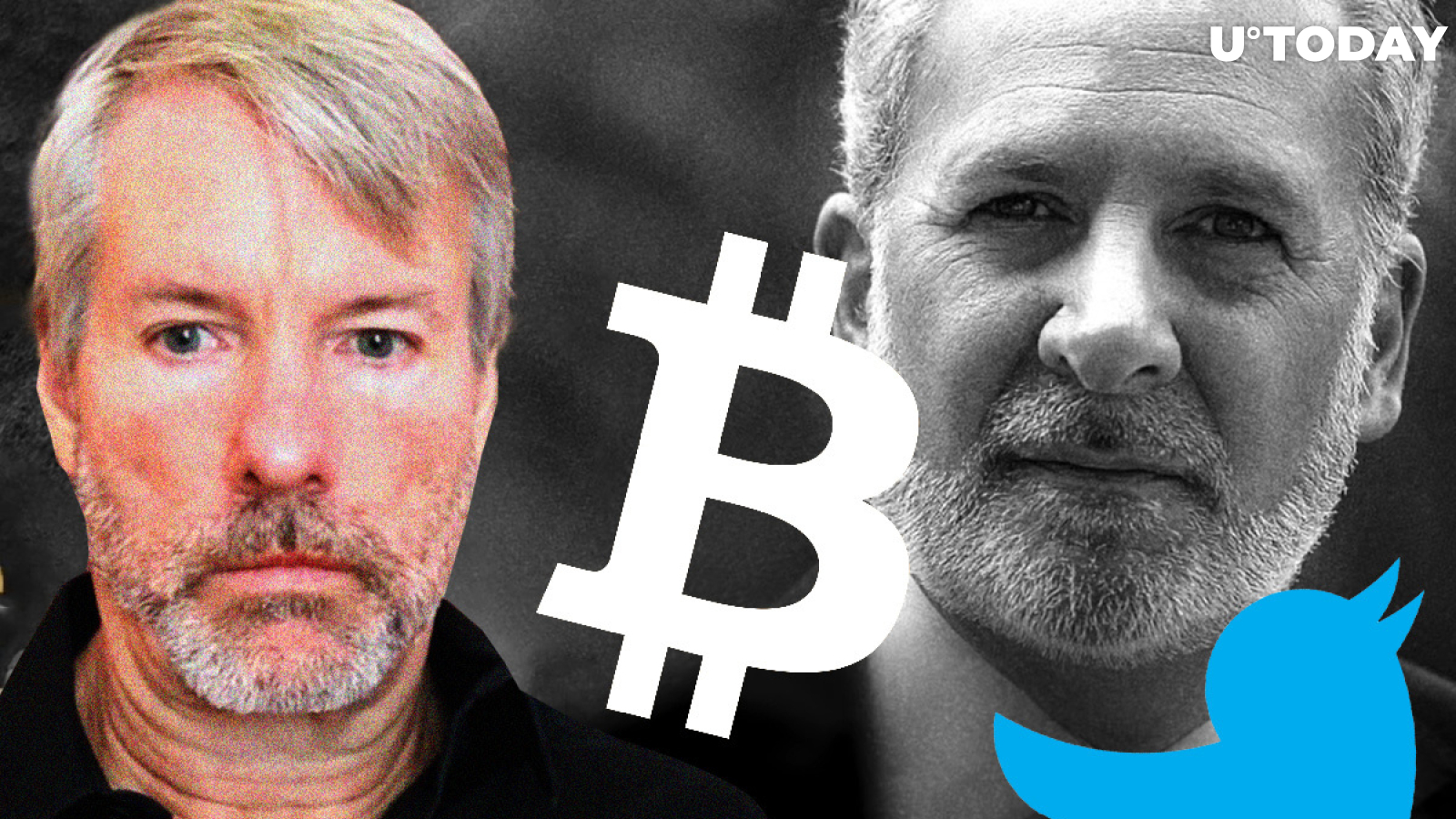 Peter Schiff Finally Gets Blue Twitter Tick, Michael Saylor Trolls Him by Offering Bitcoin Instructions