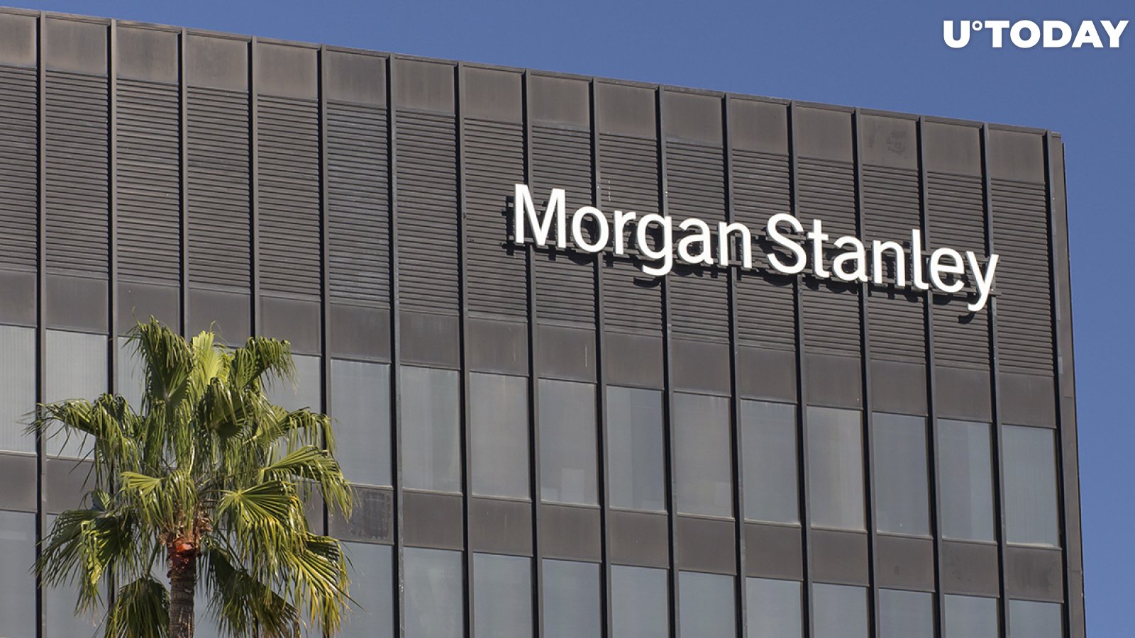 Morgan Stanley Co-Leads $48 Million Investment in Robinhood-Like Blockchain Startup 
