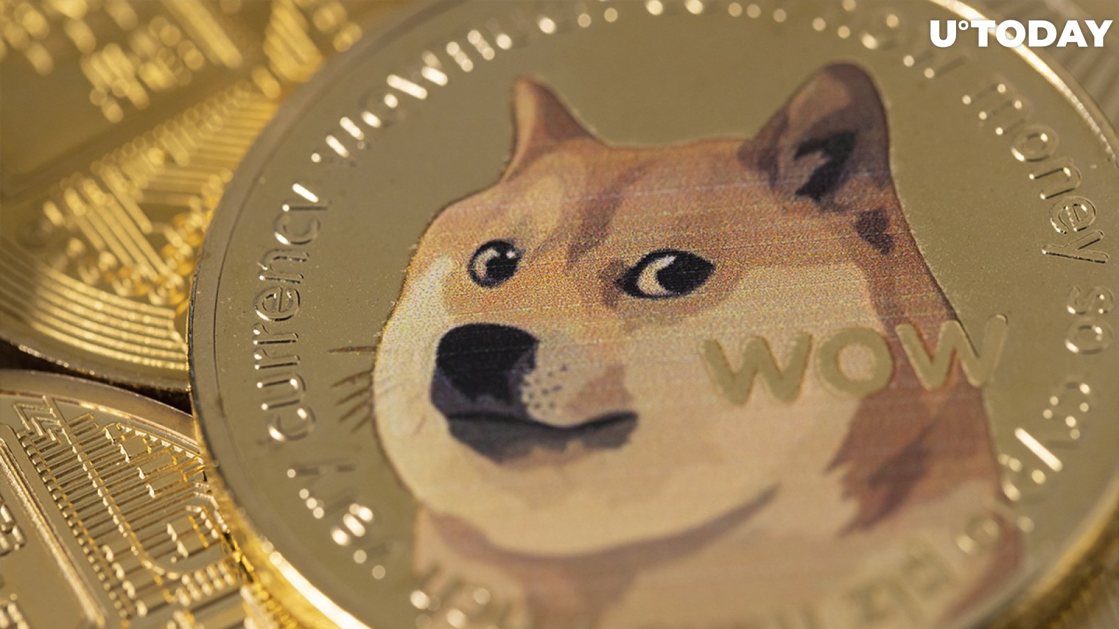 DOGE USD Millionaire Keeps Holding Despite Losing $167,000 in Dogecoin in One Day