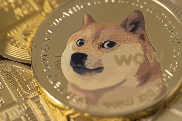 DOGE USD Millionaire Keeps Holding Despite Losing $167,000 in Dogecoin in One Day