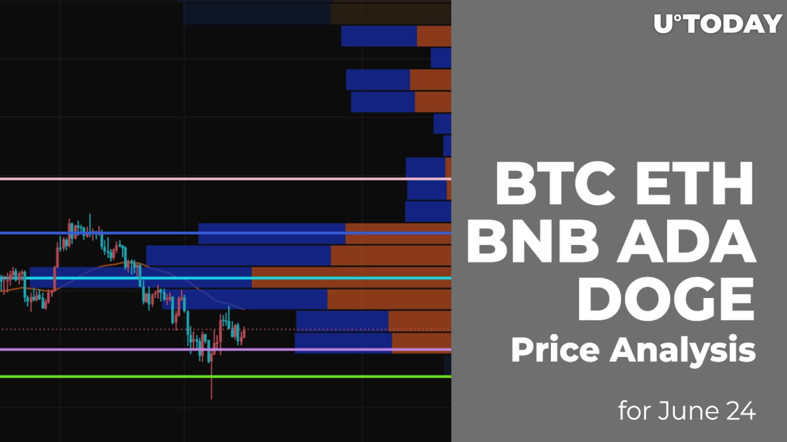 BTC, ETH, BNB, ADA and DOGE Price Analysis for June 24