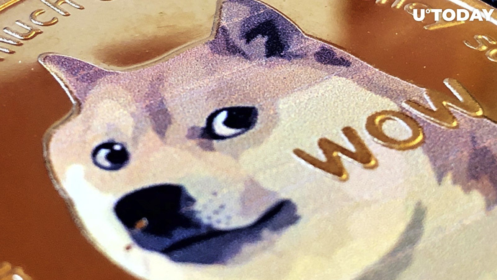 Dogecoin's Name Recognition 10 Times Stronger Than That of XRP in U.S. 