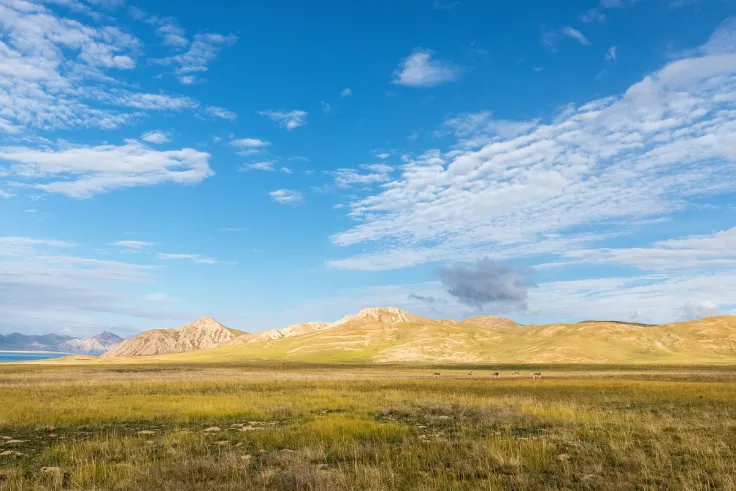 China's Qinghai Province Bans Bitcoin Mining