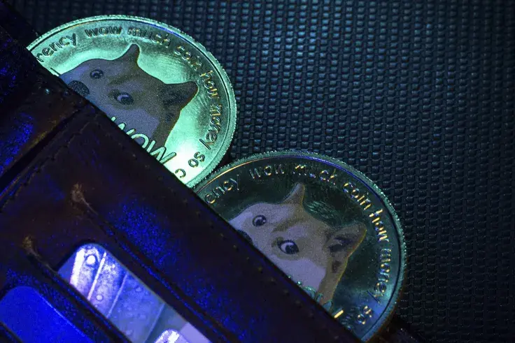 Elon Musk Pushes Dogecoin Price Up with Raunchy Meme