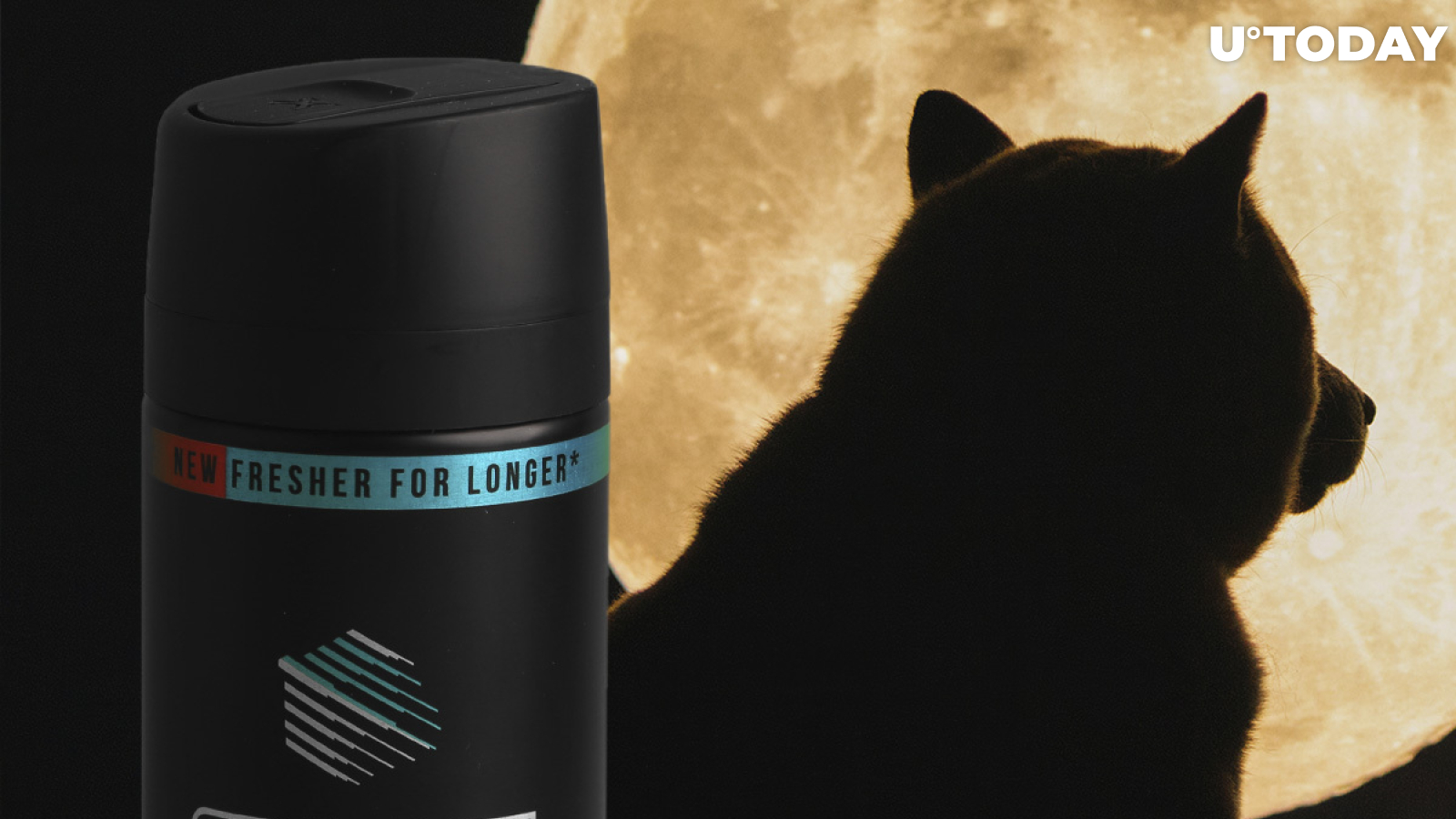 New Tweet from AXE Deodorant Mentioning #Dogecan Exploded in the Crypto Community