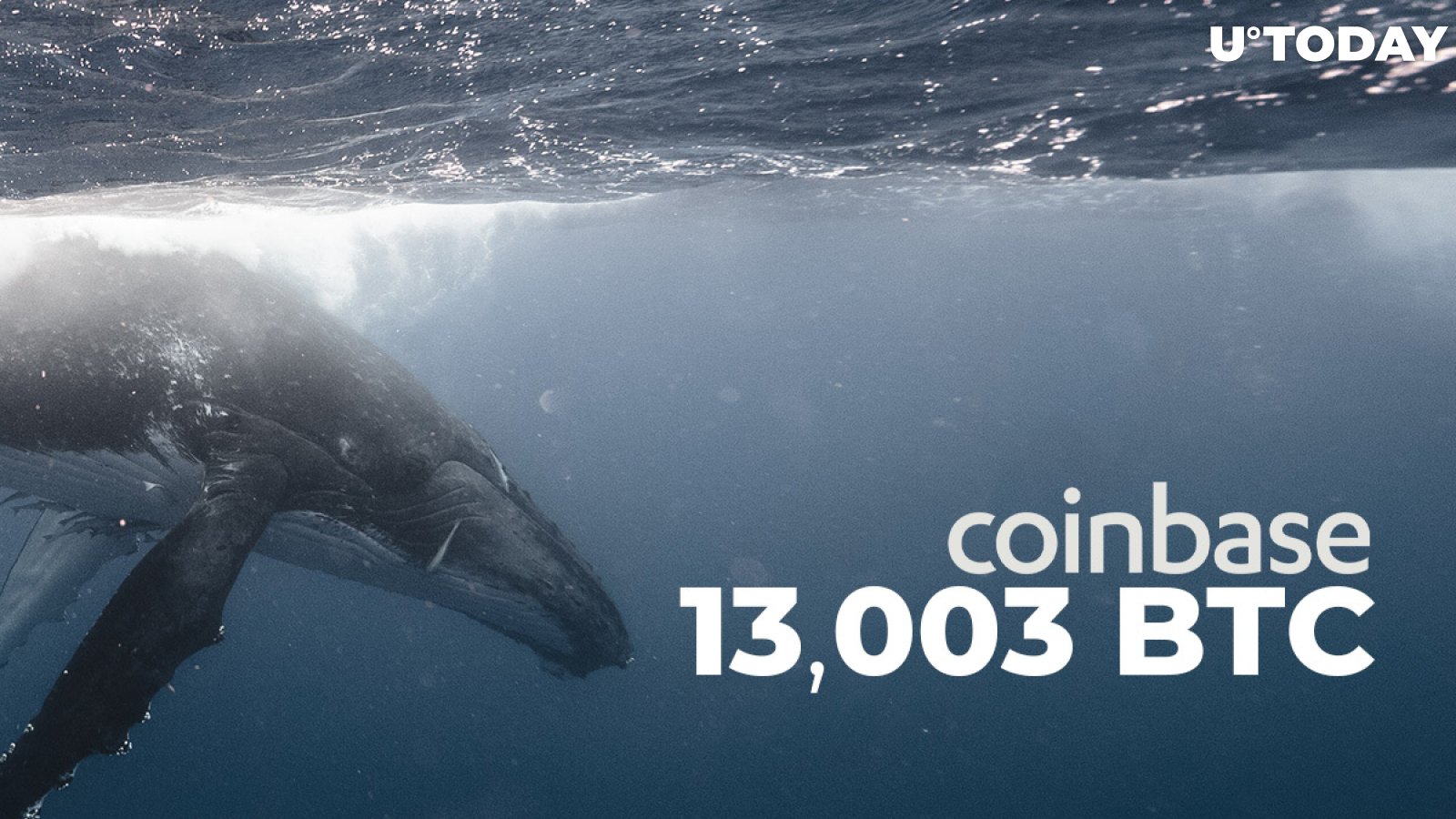 Coinbase Receives 13,003 BTC from Anonymous Whale Over Past 3 Hours