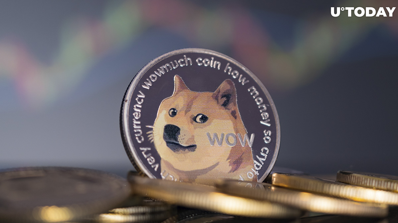 Former ‘Dogecoin Millionaire” Still Buys Dips, Calls DOGE His Savings Account 