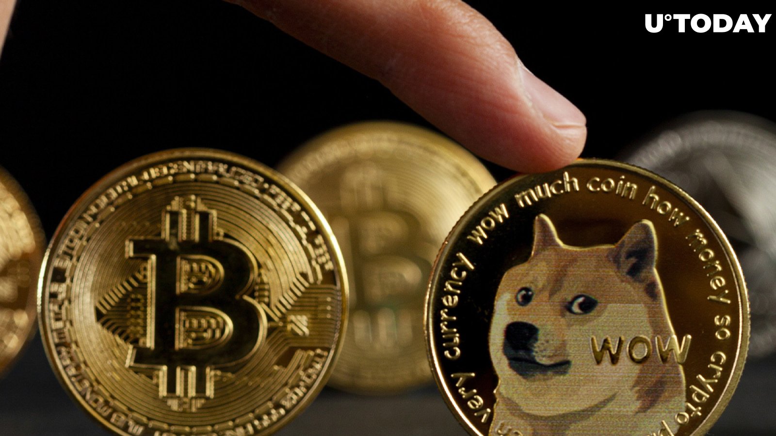 Dogecoin Up 18%, Bitcoin Rising As Elon Musk and Jack Dorsey Prepare For BTC Talk