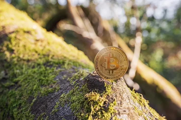 $45 Billion Asset Manager GoldenTree Has Bitcoin on Its Balance Sheet