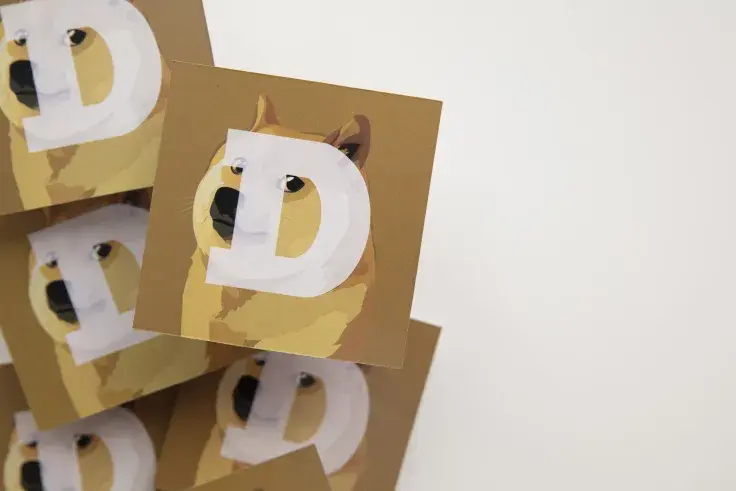 These Are Top Things Elon Musk Likes About Dogecoin Community