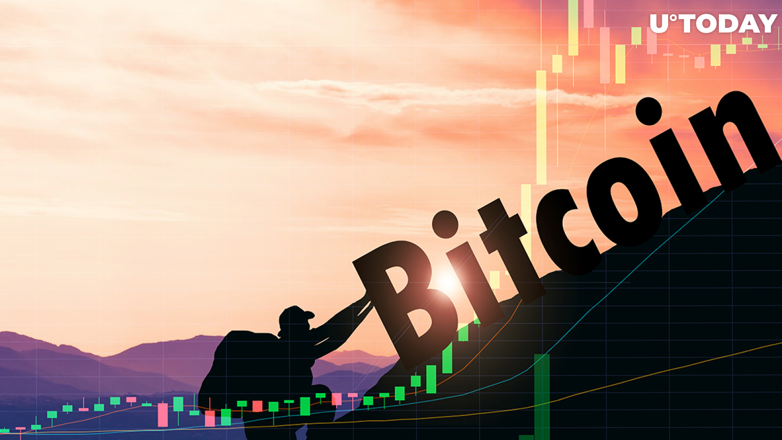 Institutional Investors and Whales Are the Ones Pushing Bitcoin Price Up: PwC Service Network