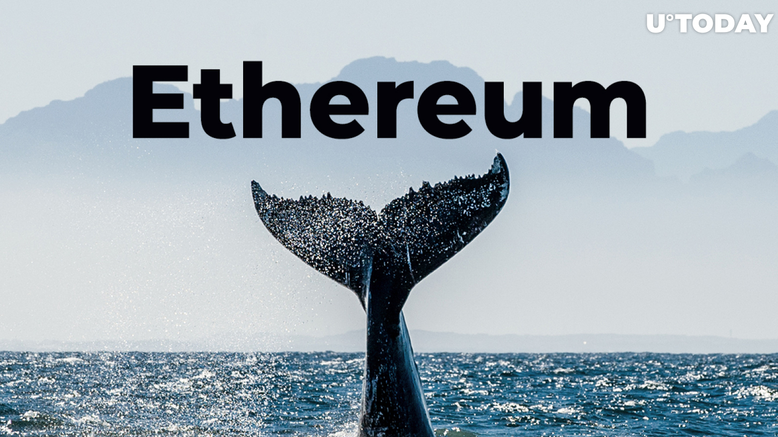 Ethereum “Millionaire Tier” Whales Now Hold 39.2% ETH Supply, Pushing Price Close to $2,700: Santiment
