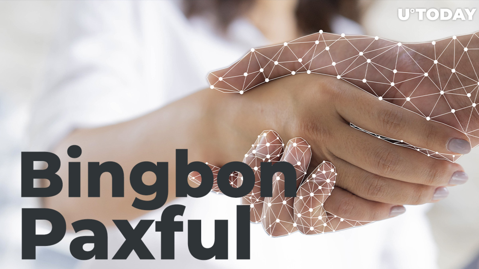 Social Trading Platform Bingbon Has Partnered with Paxful Fiat-to-Crypto Exchange