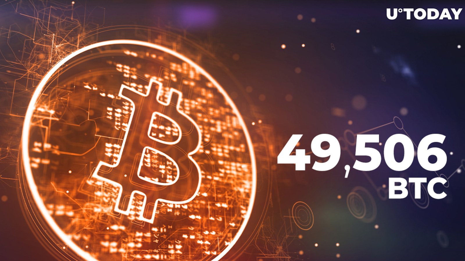 49,506 BTC Moved by Coinbase and Whales, While Bitcoin Hits $45,000 and Rolls Back
