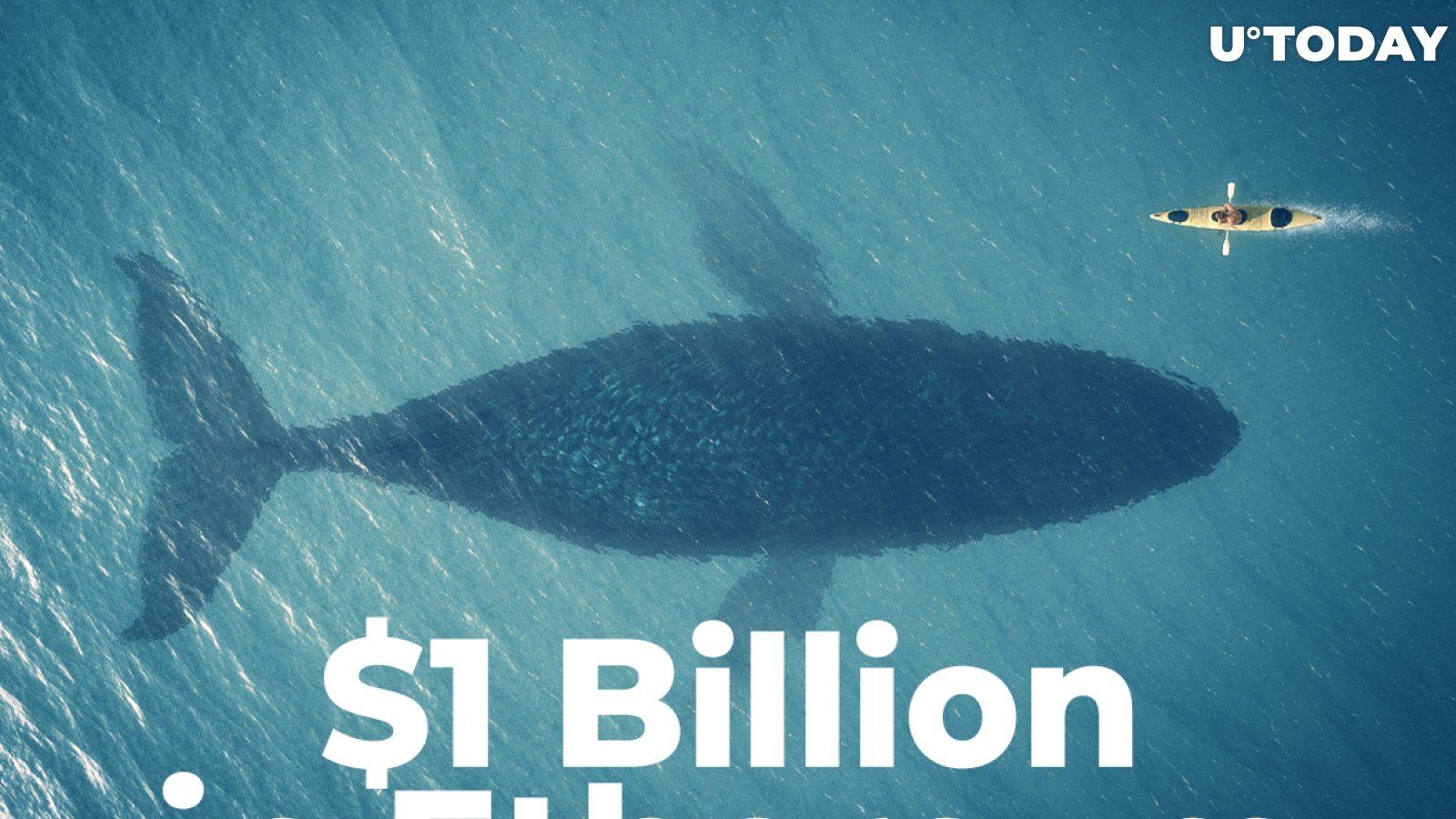 Crypto Whales Move $1 Billion in Ethereum, While ETH Open Interest Soars to $8 Billion