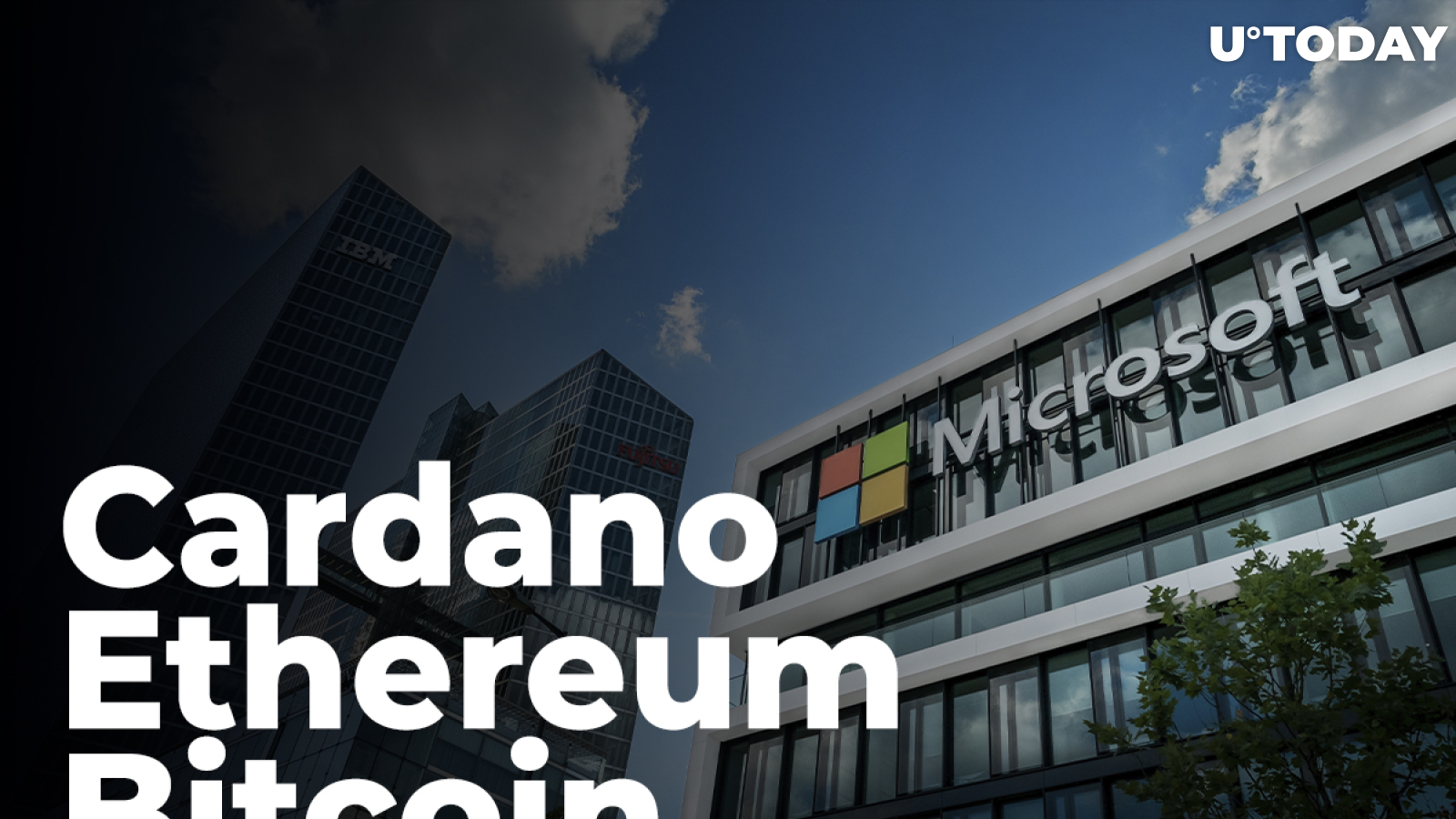 Peter Brandt Suggests That Cardano, Ethereum and Bitcoin Could Follow Microsoft's Path
