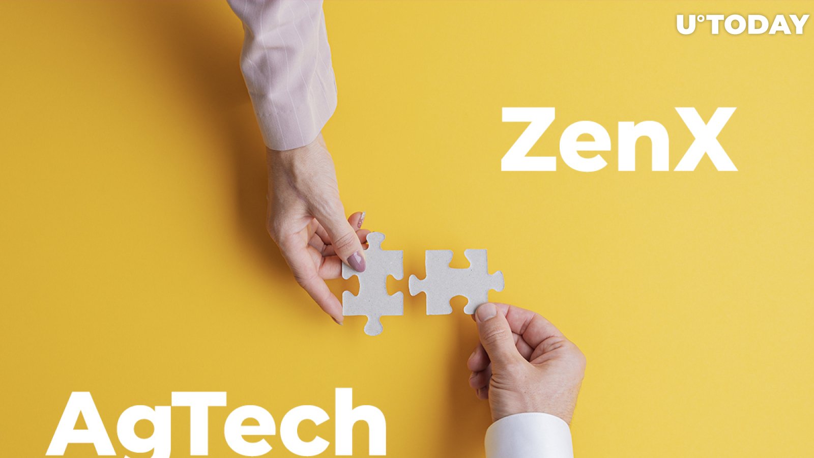 Blockchain AgTech Innovators Dimitra Join ZenX Incubator
