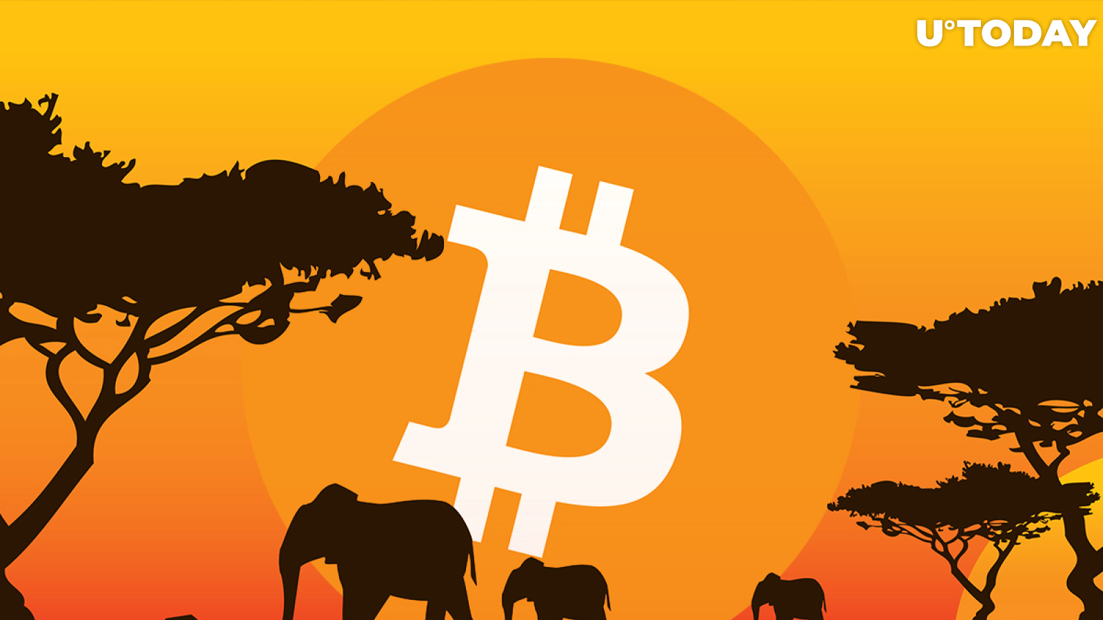 Bitcoin P2P Trading Volume in Africa Turns Largest in The World, Exceeding North America