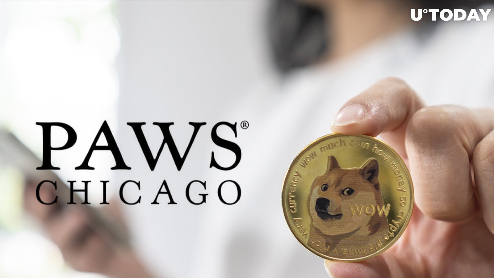 Dogecoin Now Accepted by Largest No-Kill Animal Shelter in Midwest