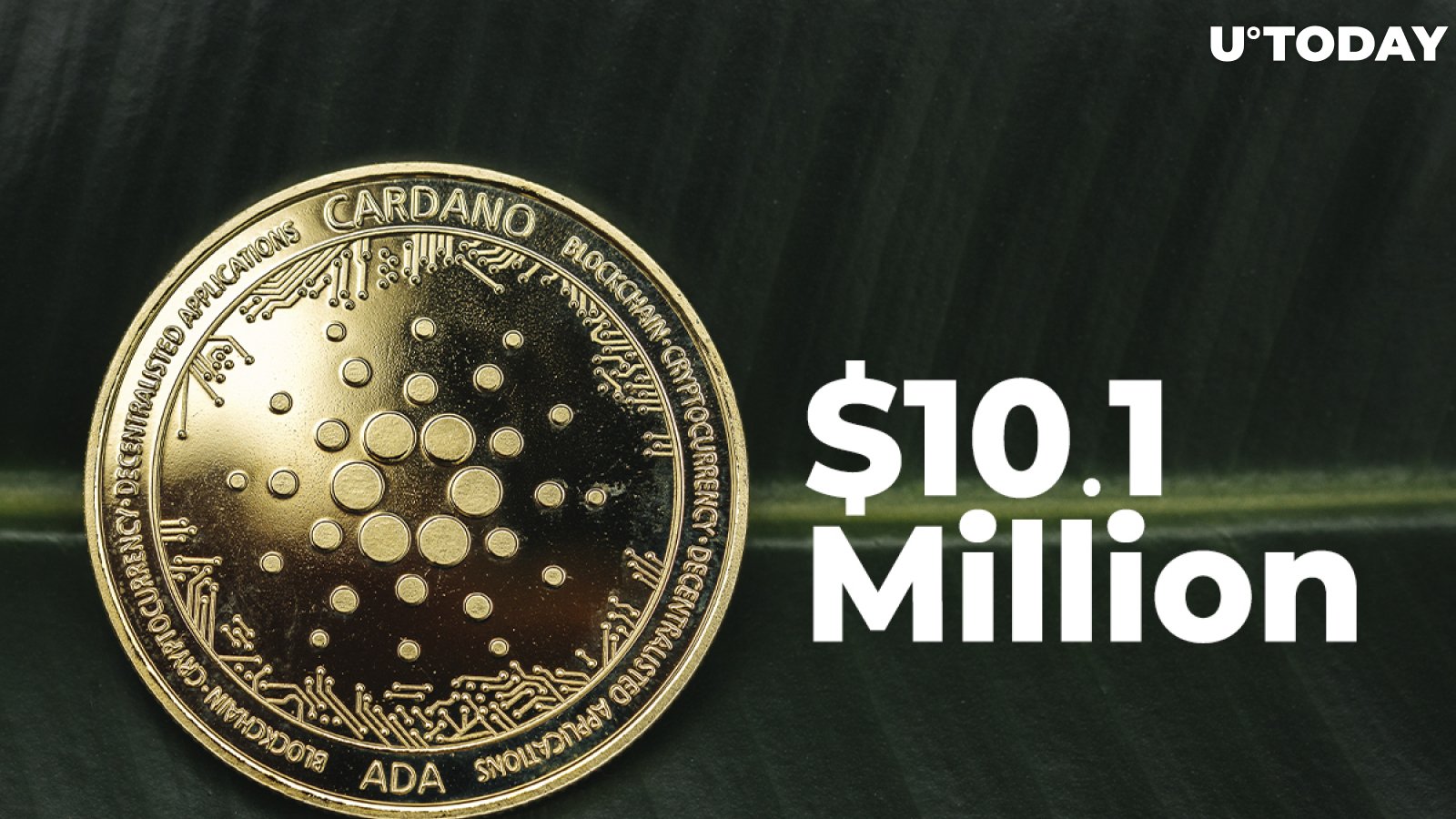 Cardano Sees $10.1 Million Inflows in Past Week, Surpassing XRP and SOL but Not Ethereum