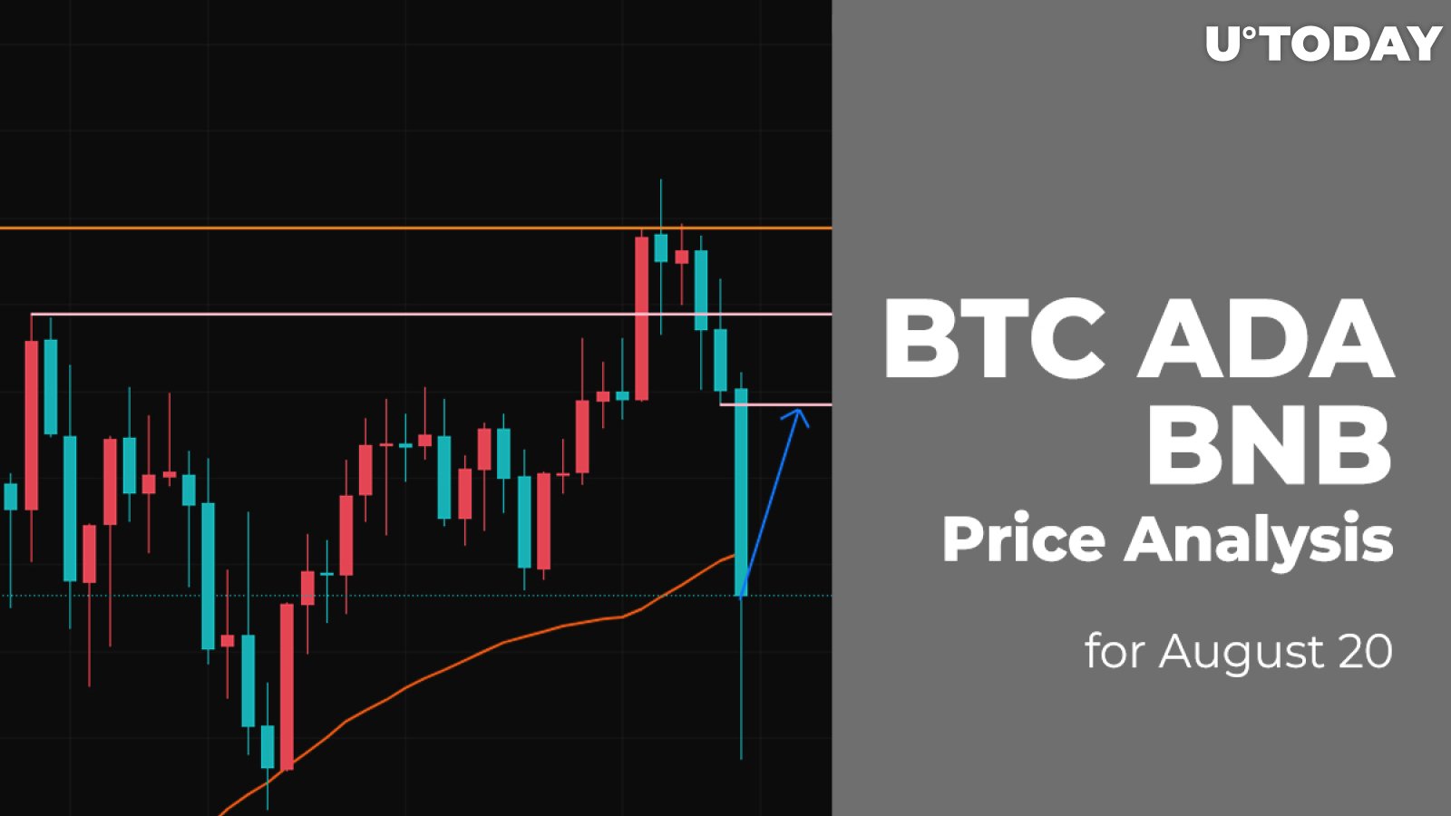 BTC, ADA, and BNB Price Analysis for August 20