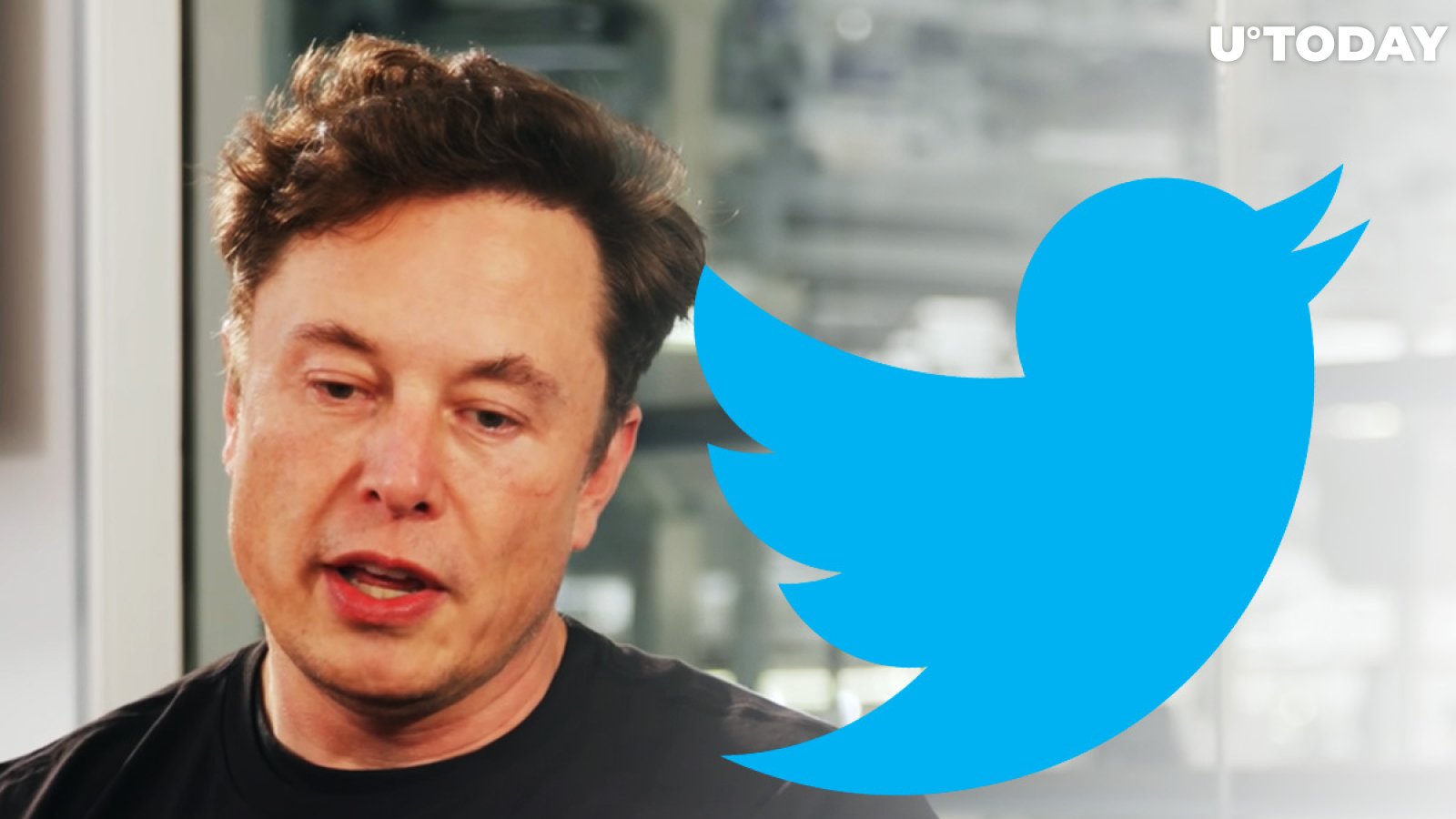 Elon Musk Repeats Raunchy Crypto Reference from 2019