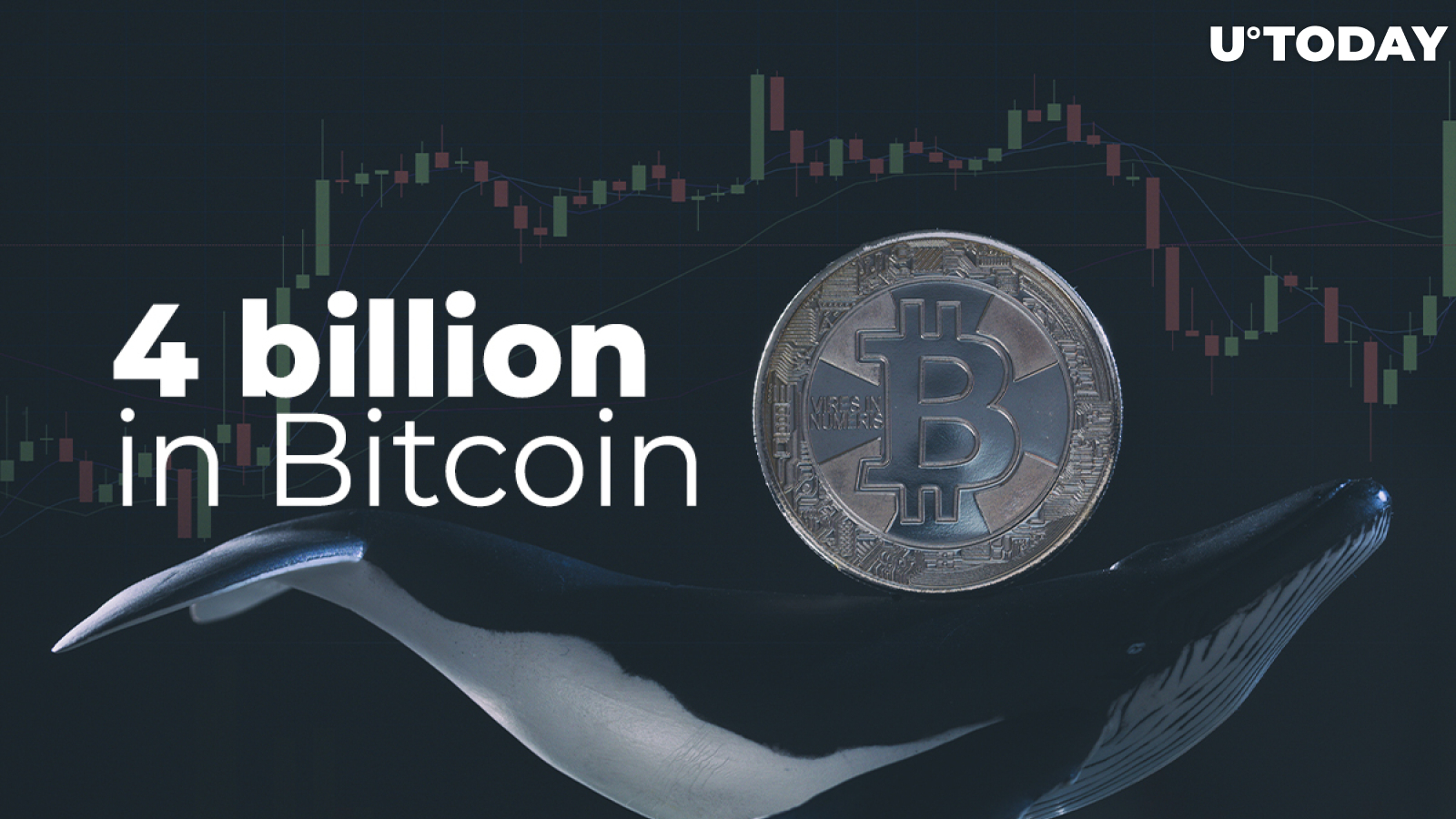 Whales Shift More $4 Billion in Bitcoin, While BTC Declines to $48,500