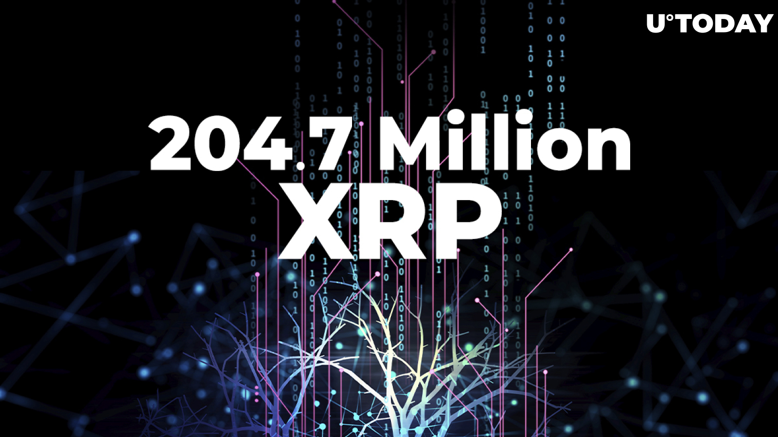 Ripple Participates in Moving 204.7 Million XRP, While Coin Drops to $1.09