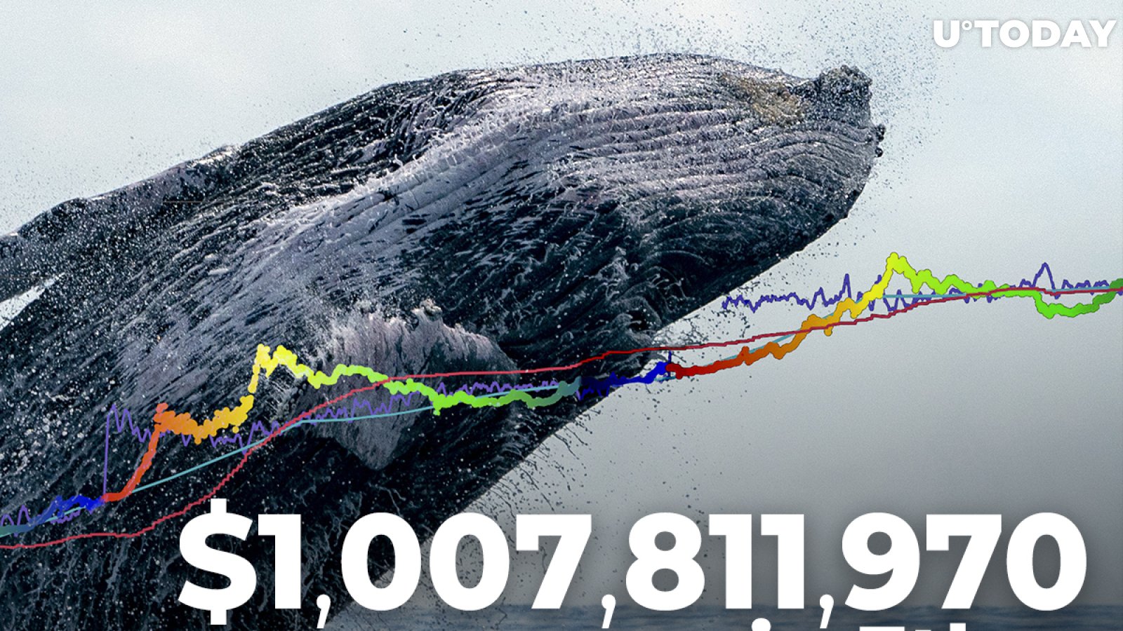 $1,007,811,970 in Ether Shifted by Whales and Major Crypto Exchanges