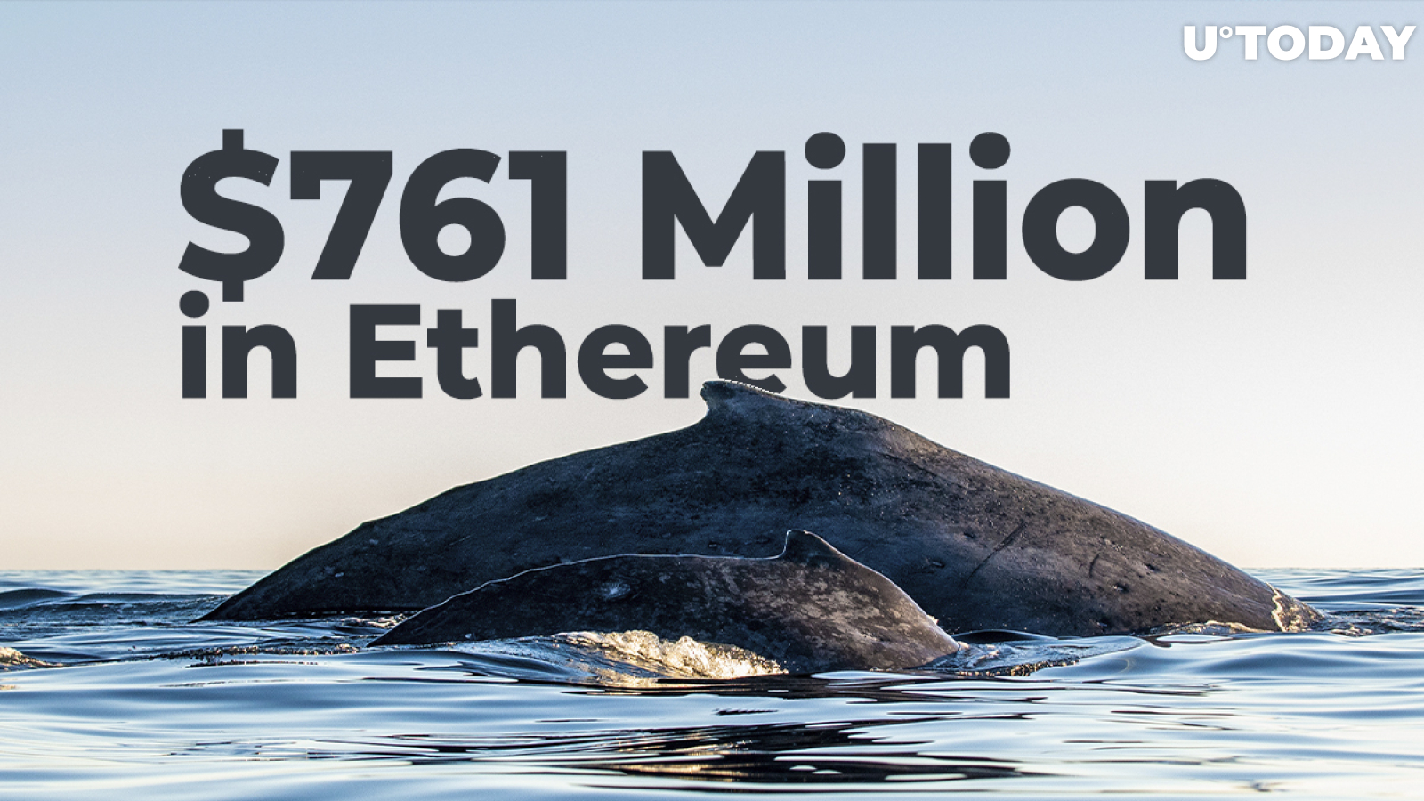 Whales Move $761 Million in Ethereum, While Coin Recovers to $3,500