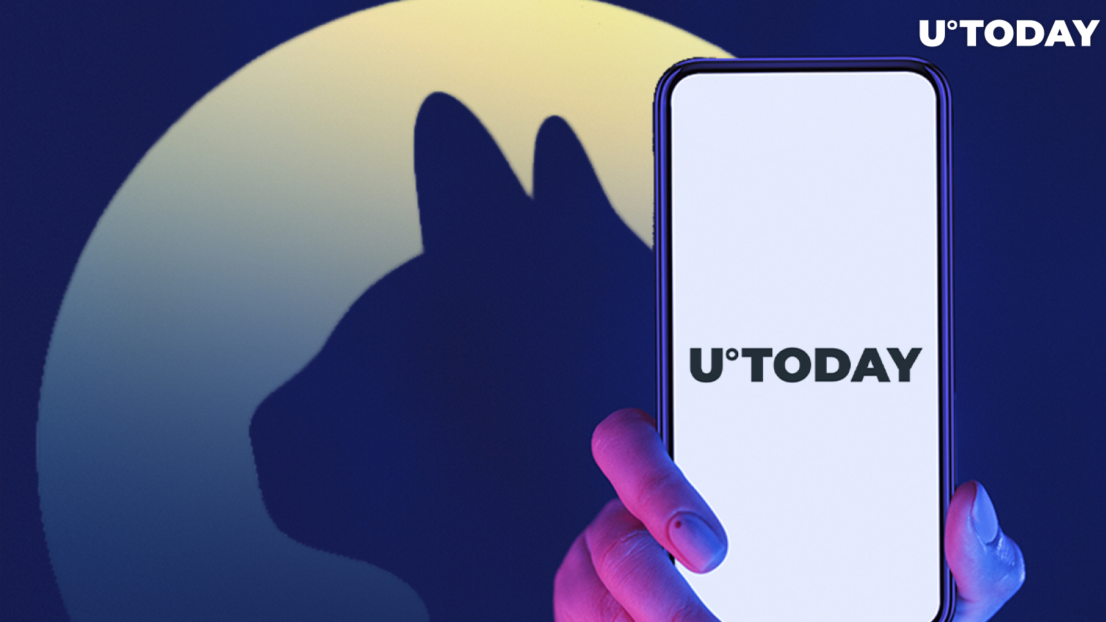 You Can Now Follow Stories by U.Today on Cryptocurrency Cat App