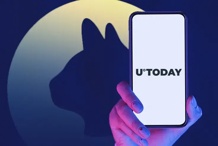 You Can Now Follow Stories by U.Today on Cryptocurrency Cat App