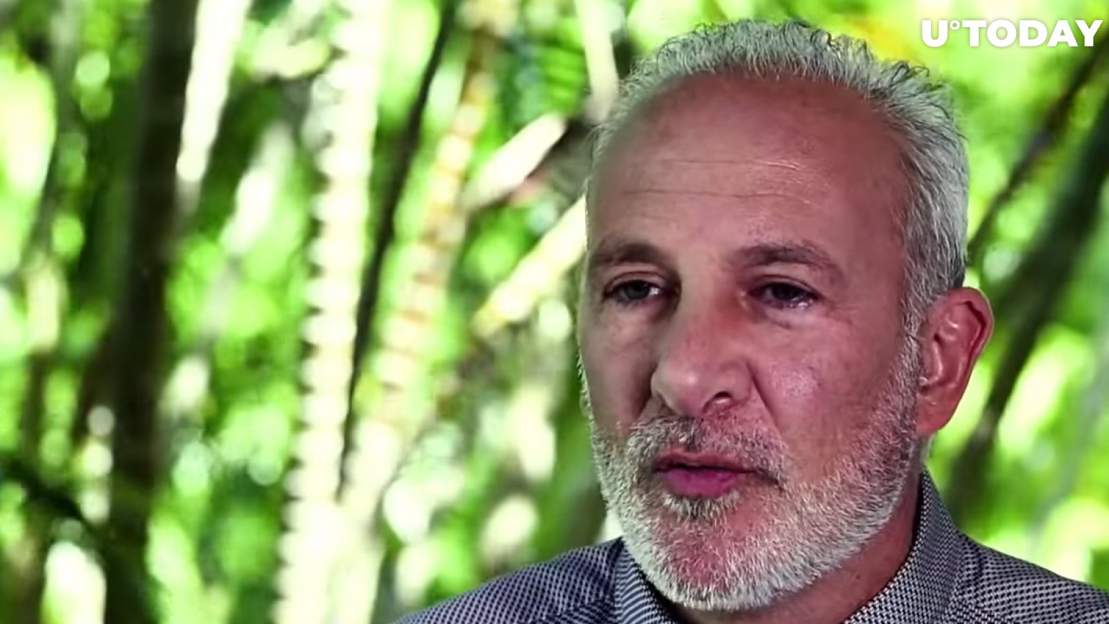 Peter Schiff: Prices of Altcoins Will Implode Overnight