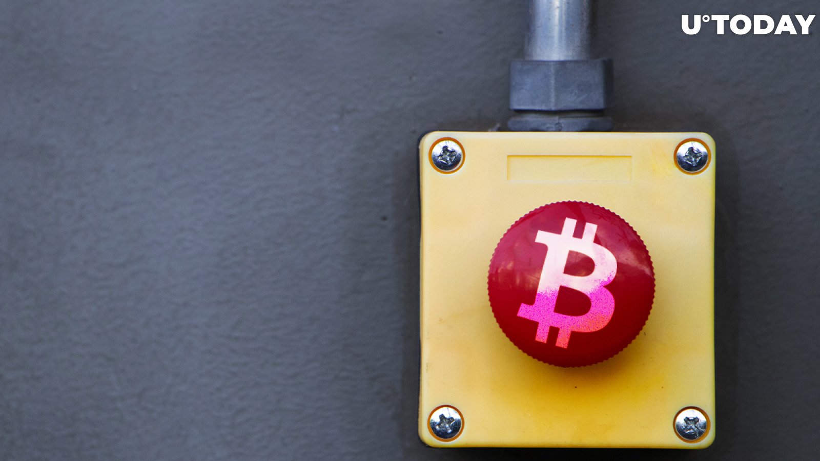 Lucky BTC Holder Activates Bitcoin Wallet with $17.4 Million After 8.8 Years